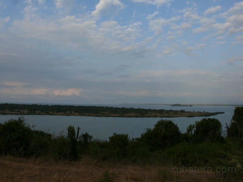 396 394 P1130730.jpg